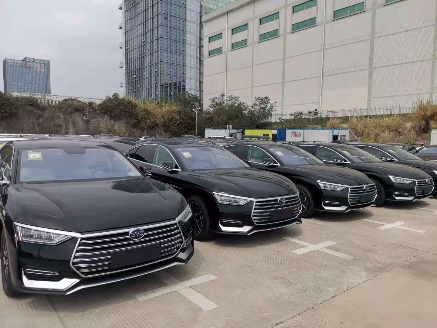 比亚迪E9.jpg