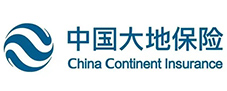 中国大地保险